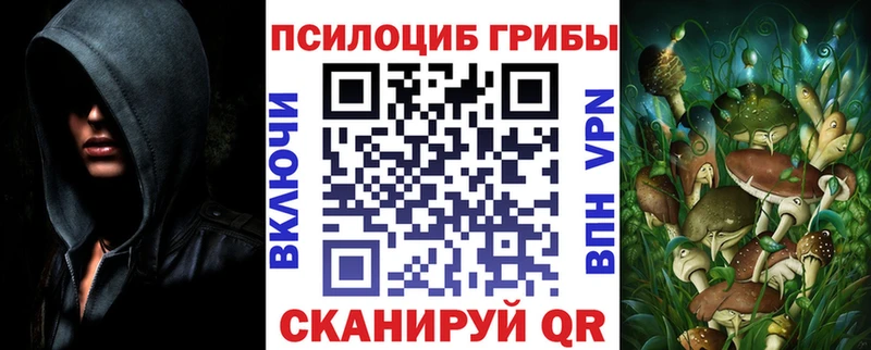 Галлюциногенные грибы Psilocybine cubensis  блэк спрут ссылка  Курлово 